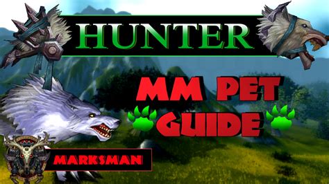 do marksman hunters use pets